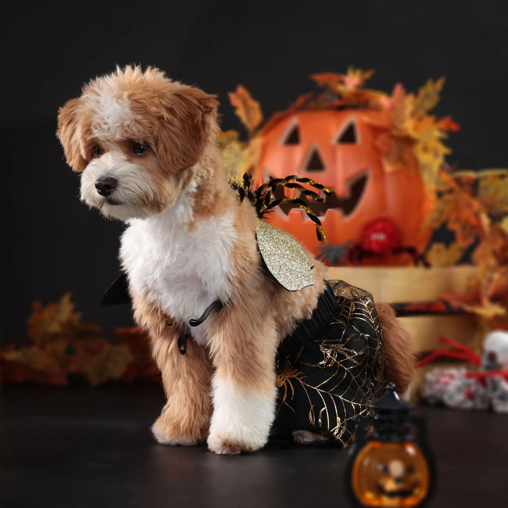 Polyester dog suit costume for Halloween parties in multiple dog sizes