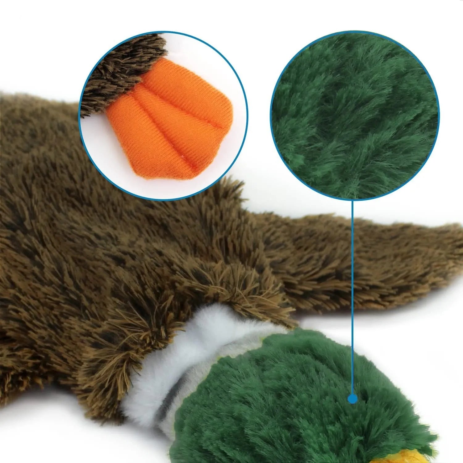 Green wild duck design stuffless dog toy with two squeakers and bottle insert cavity.