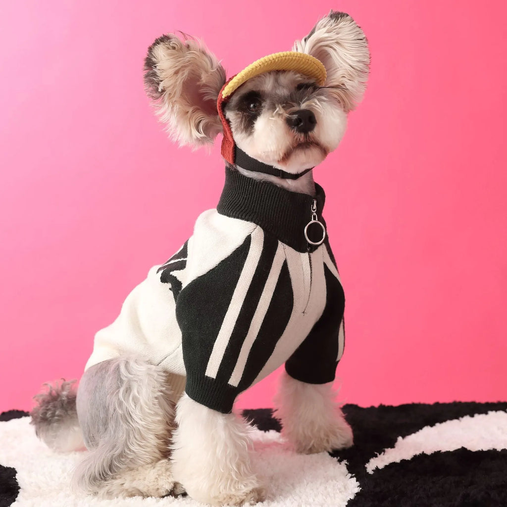 Red wool puppy dog sports sweater cardigan pet clothing on a dog