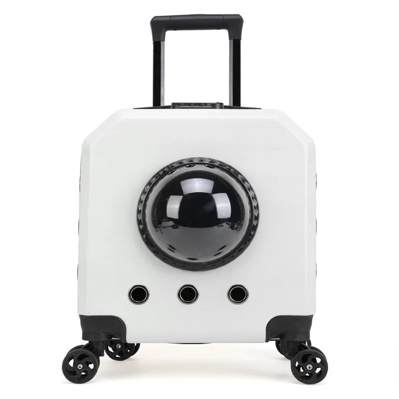 Hard-sided PVC cat flight trolley case in solid colour with wheels and airline travel design
