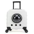 Hard-sided PVC cat flight trolley case in solid colour with wheels and airline travel design