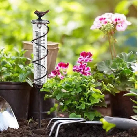 Cast iron bird-shaped outdoor rain gauge with glass measurement tube showing 0-800ml capacity scale.