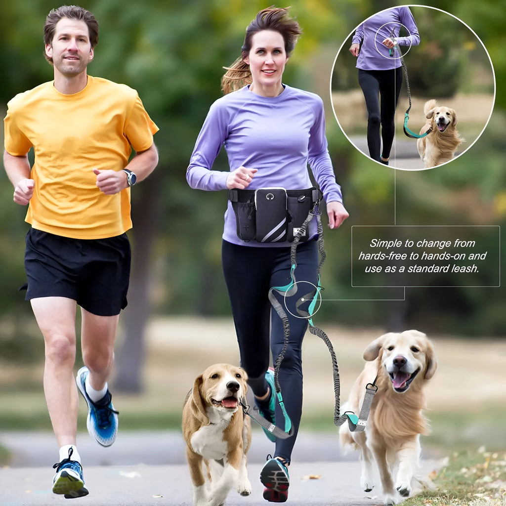 Black nylon waterproof pet training waist bag with dog leash and collar set for outdoor walking