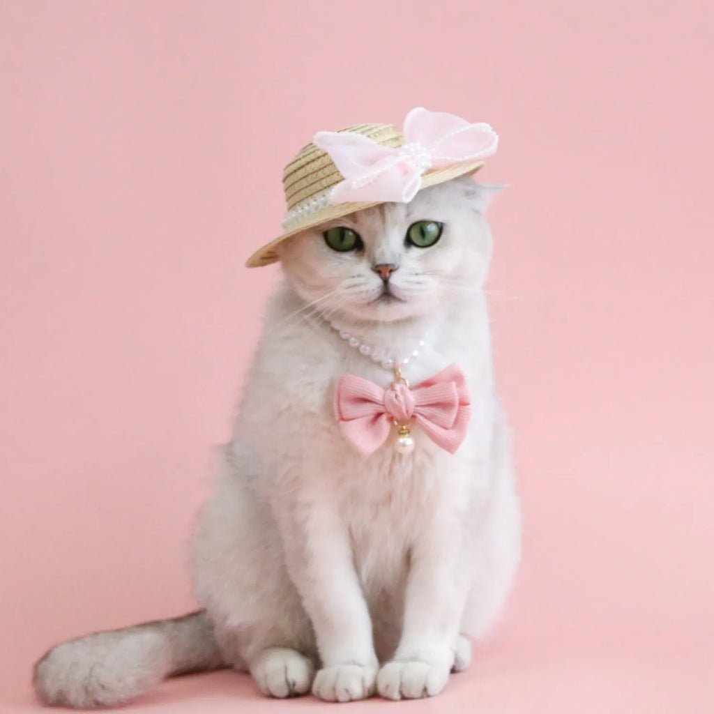 Woven Lafite leaf cat hat with pearl butterfly bow on a pink background, showing S and M size options.