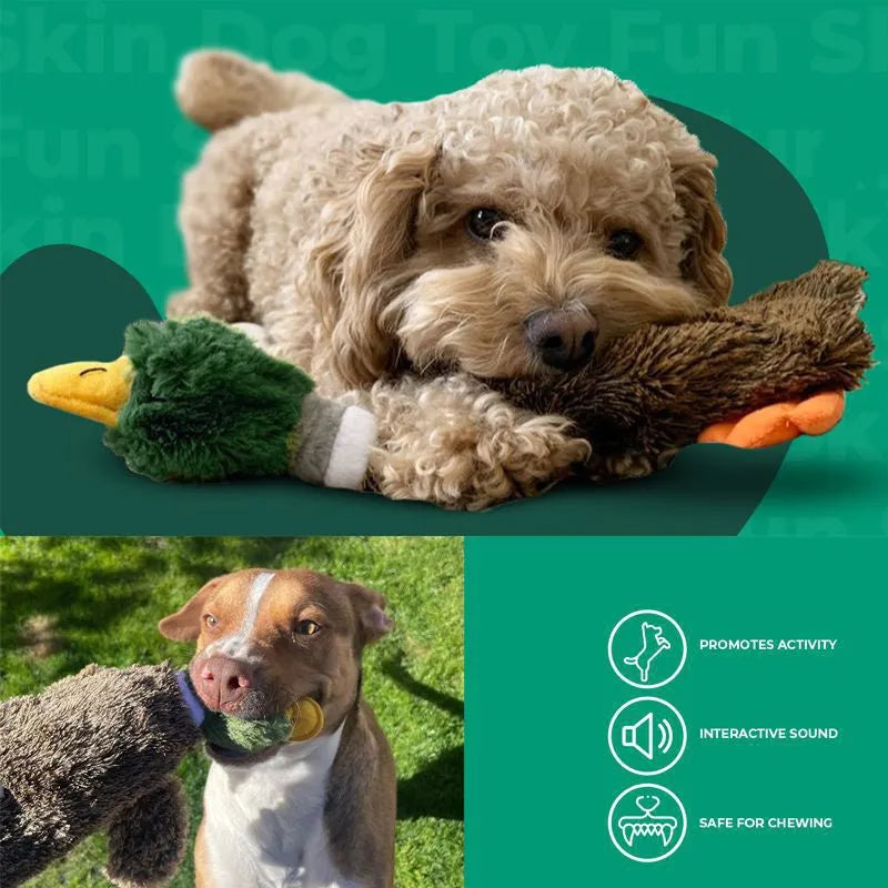 Green wild duck design stuffless dog toy with two squeakers and bottle insert cavity.