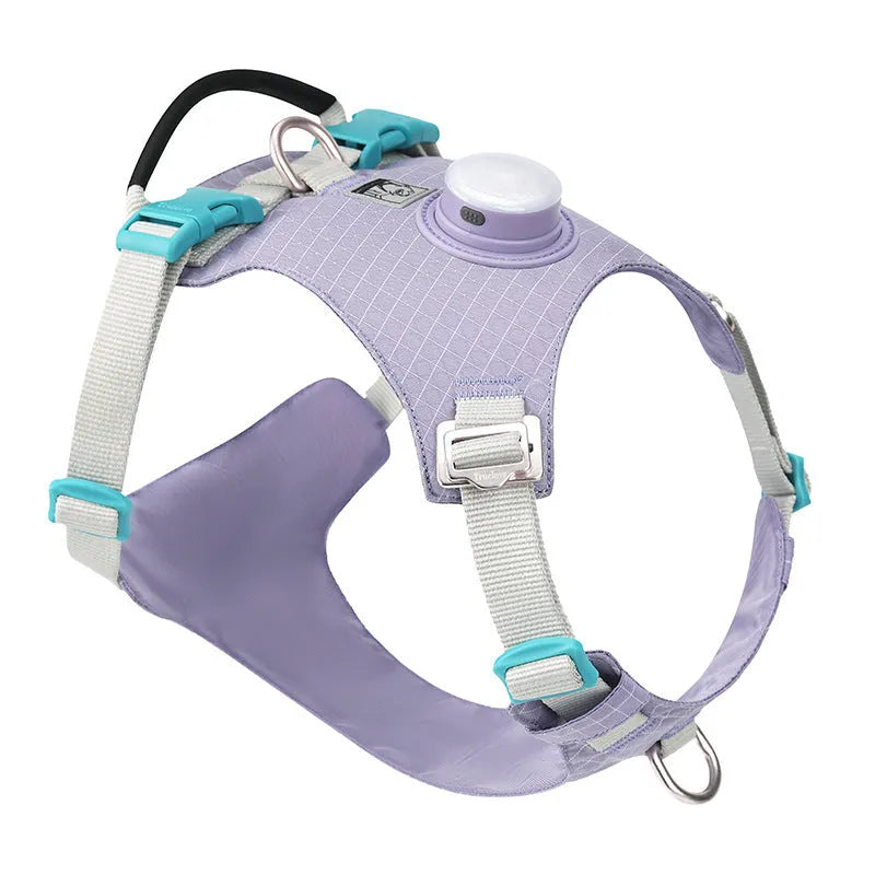 Nylon dog chest harness with LED light and traction handle in multiple colour options