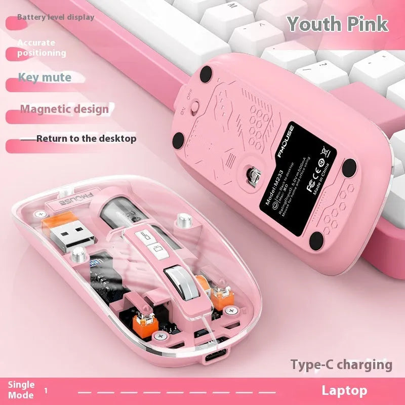 Transparent wireless computer mouse with USB receiver in multiple colour options.