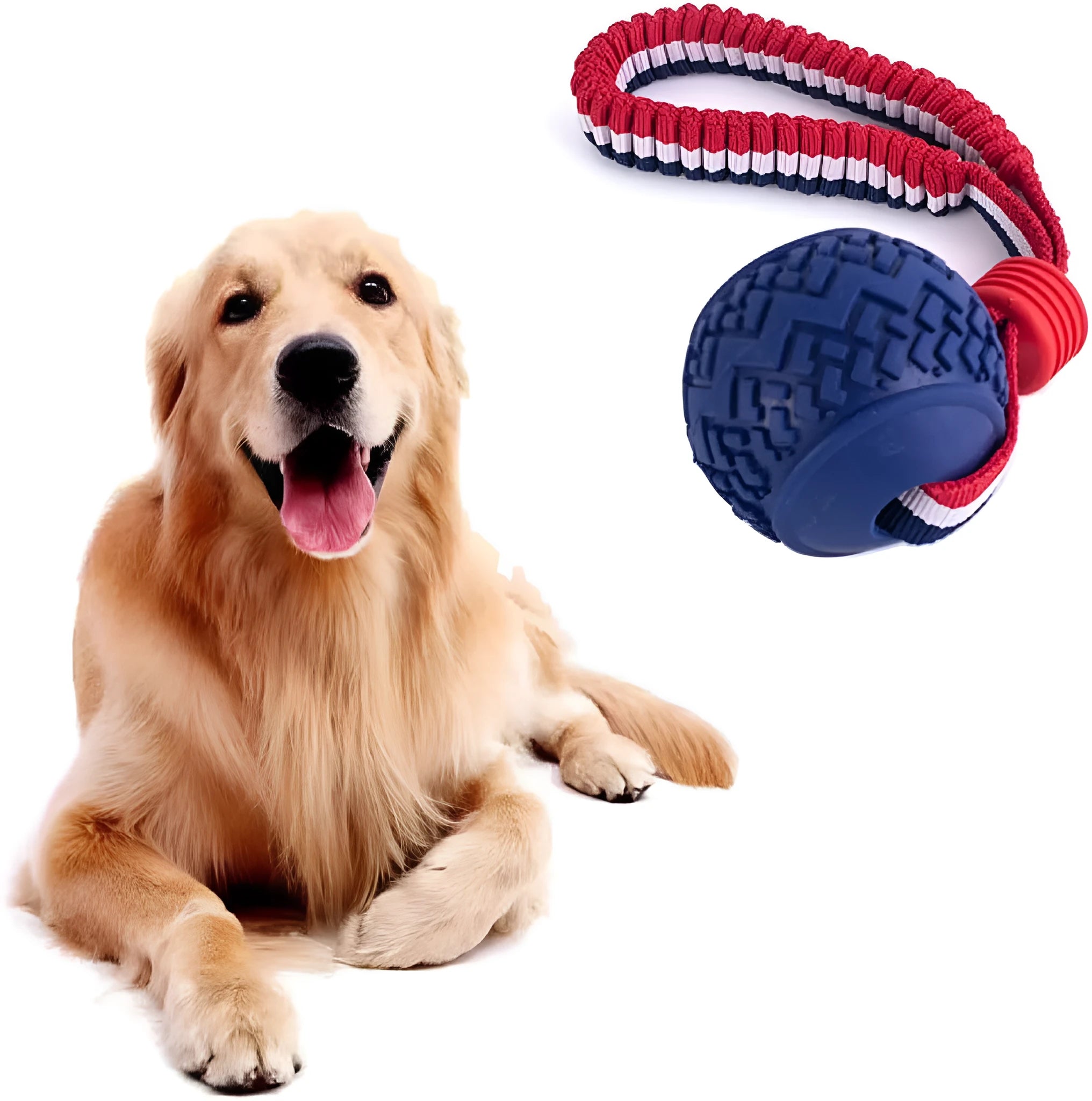 Blue dog toy with a textured rubber ball attached to a cotton rope, shown on grass.