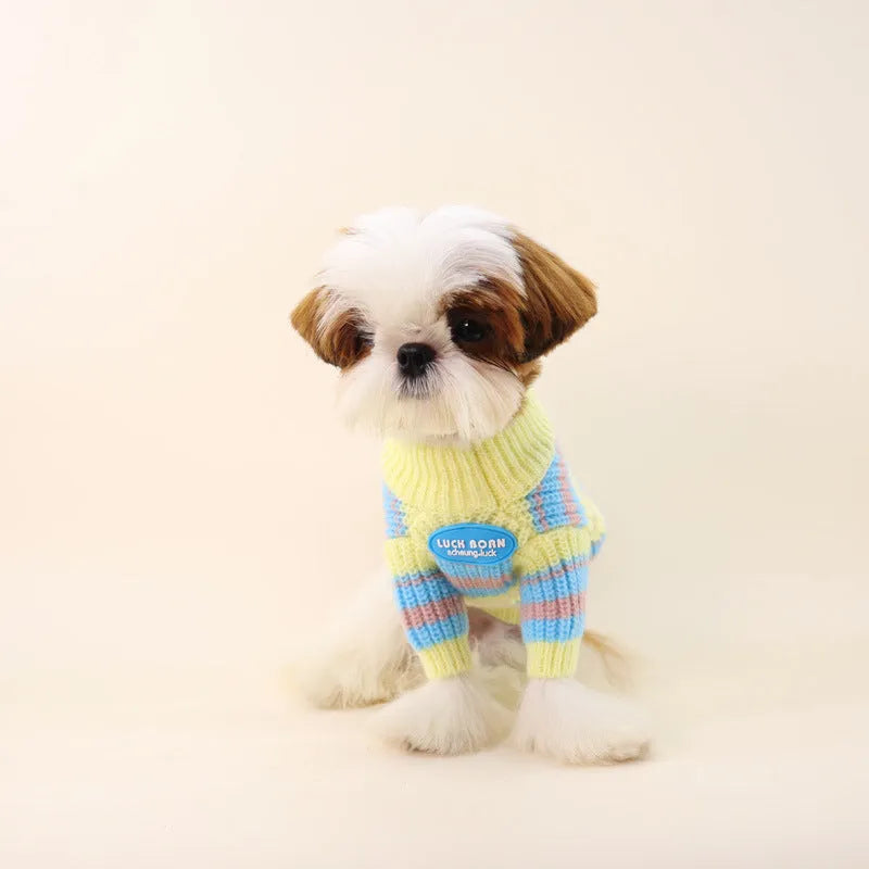 Blue and yellow striped wool dog jumper for small breeds shown in casual style