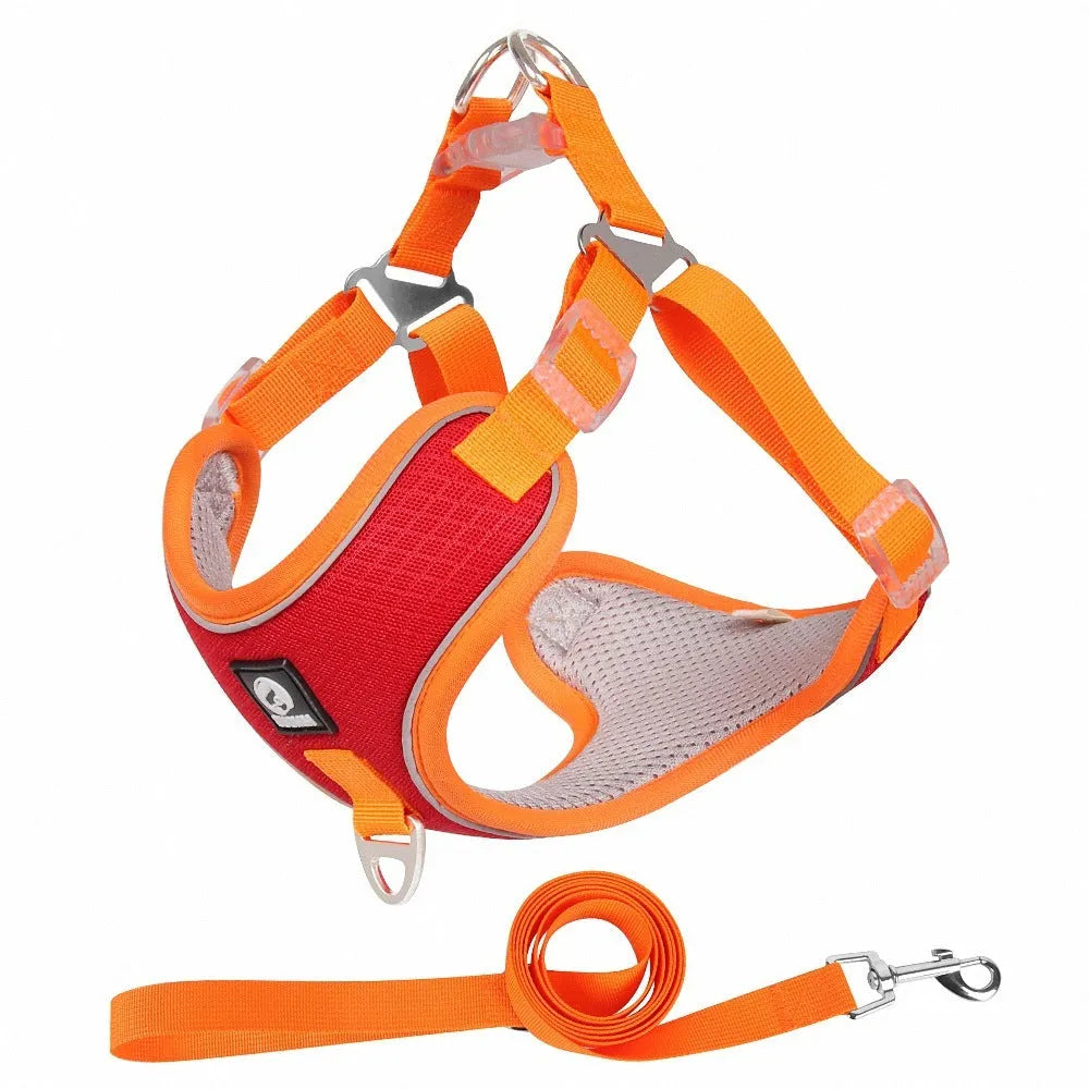 Adjustable breathable dog harness with reflective piping in black red grey light purple