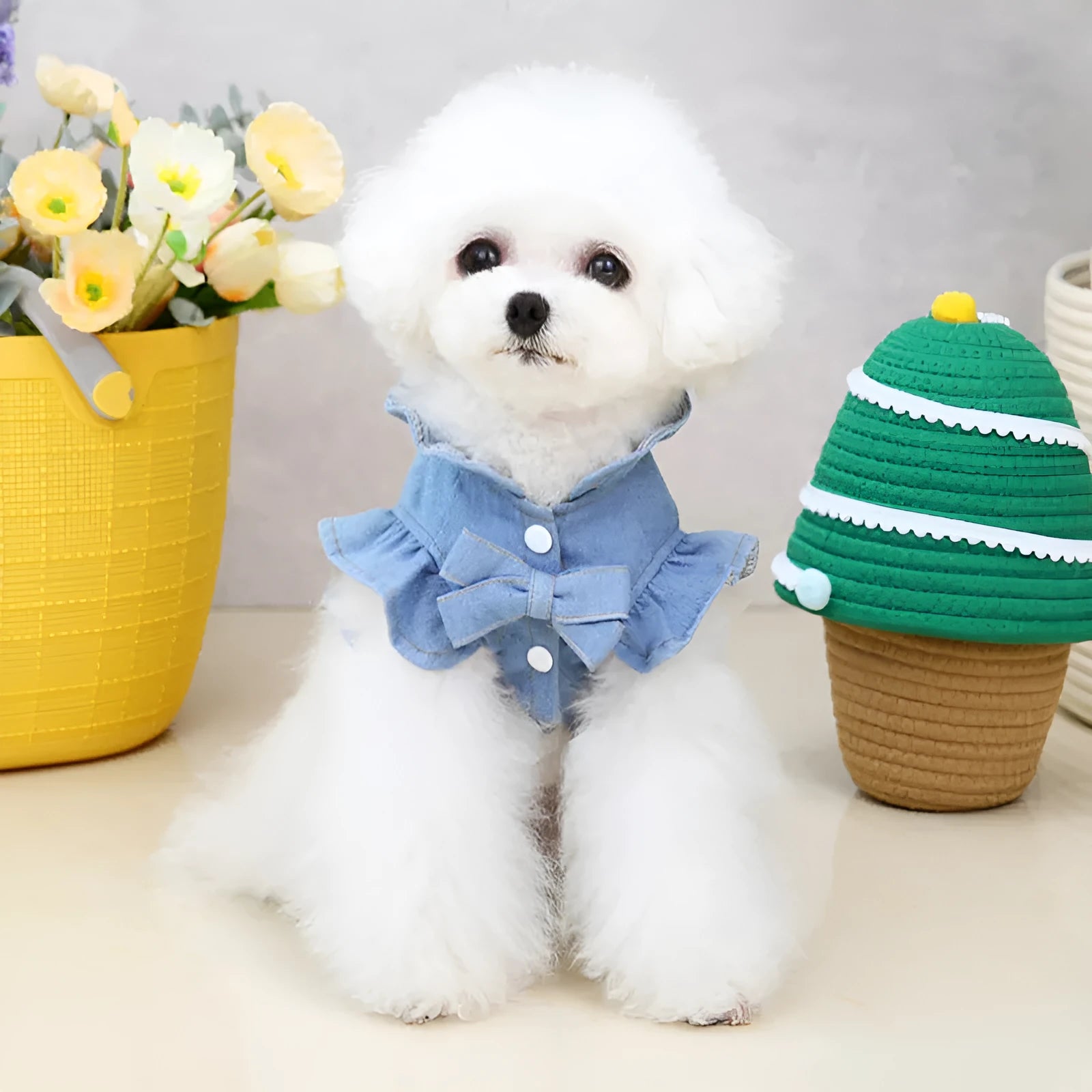 Blue denim dog dress with ruffle trim and metal leash attachment rings on chest and back