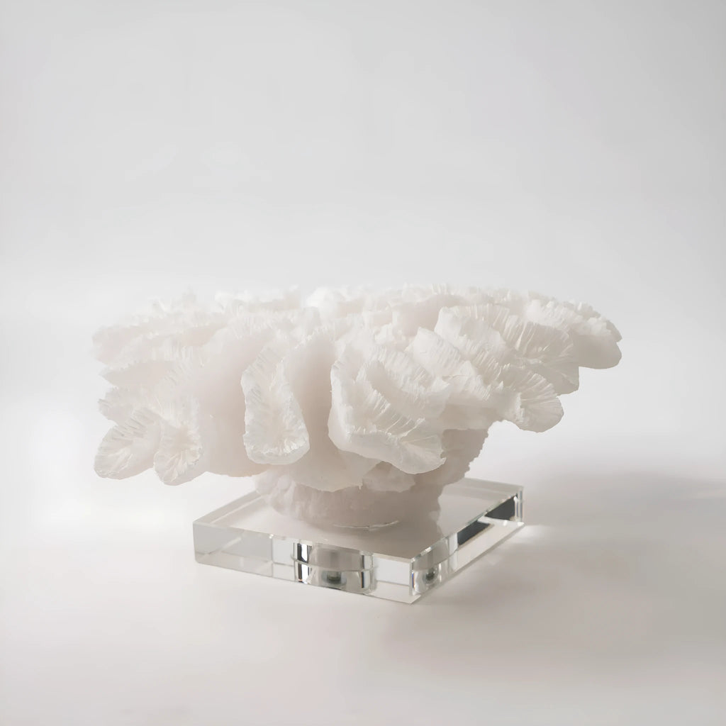 Resin coral ornament in coral colour A167 measuring 34x31x15cm on a desk