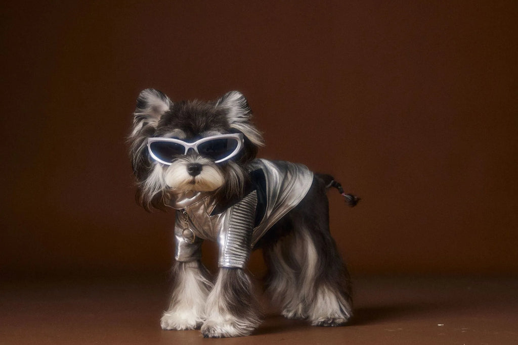 Distressed silver leather pet coat on a dog, size XS to XXL, 50% PU 50% viscose