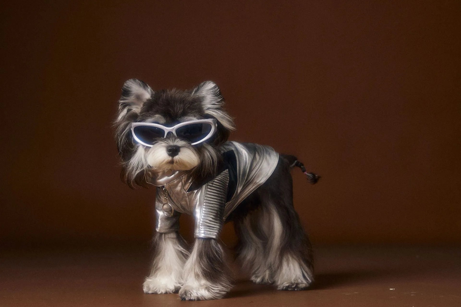 Distressed silver leather pet coat on a dog, size XS to XXL, 50% PU 50% viscose