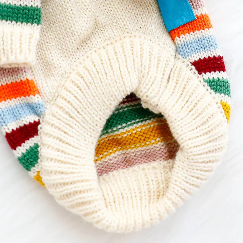 Dog wearing a casual wool knit sweater in a cute spring autumn style