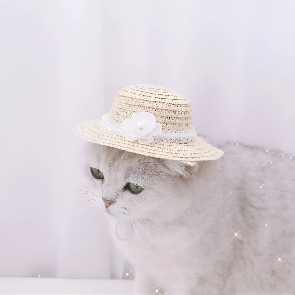 Handmade adjustable bowknot paper hat for a dog or cat, shown in a cartoon style.