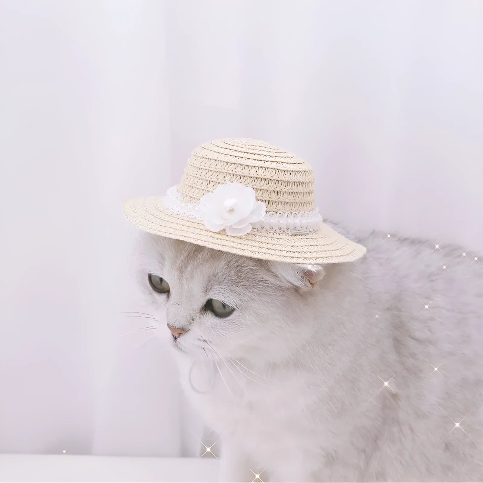 Handmade adjustable bowknot paper hat for a dog or cat, shown in a cartoon style.