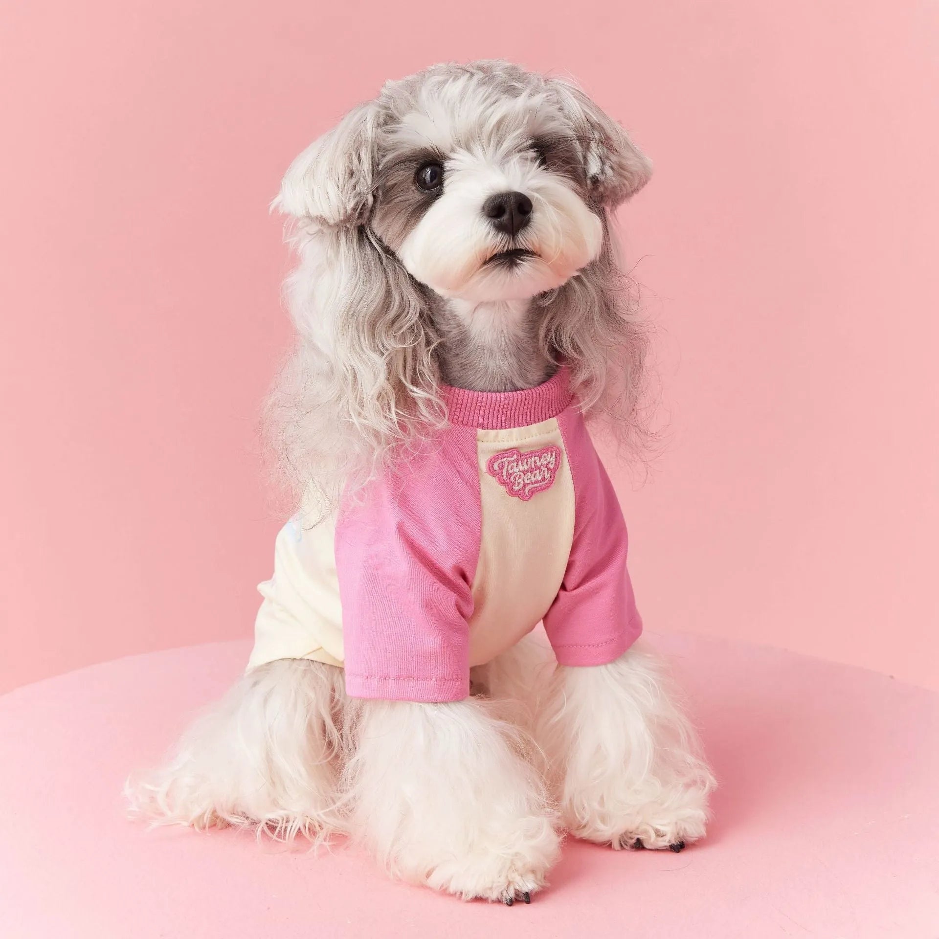 Red cotton summer dog outfit with contrast embroidery for male dogs in size L