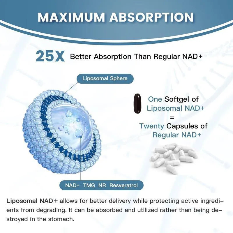 Bottle of Nicotinamide Mononucleotide capsules available in 60 or 120 piece counts with 24 month shelf life