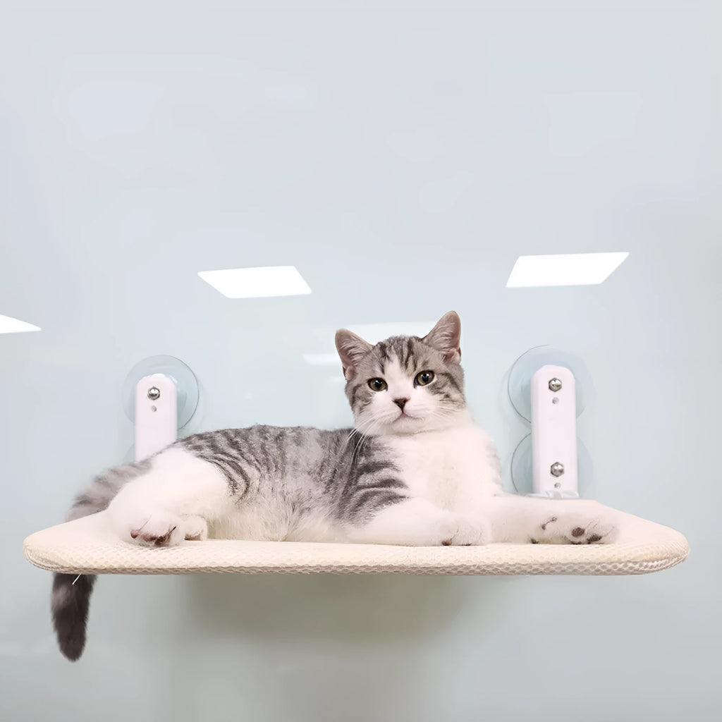 Cat window hammock with stainless steel frame and grey plush cushion mounted with suction cups