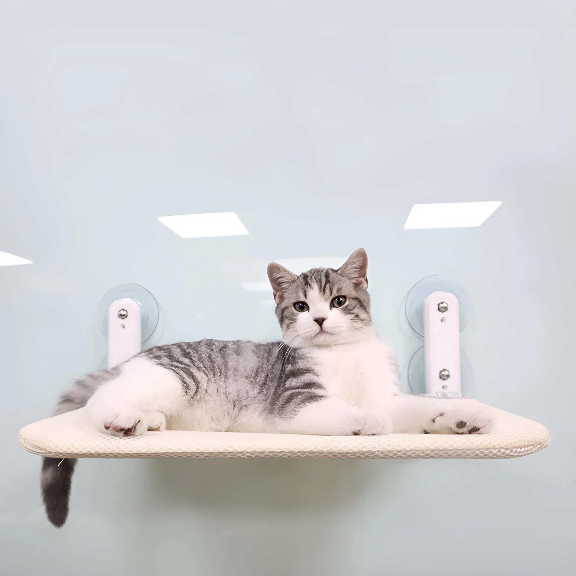 Cat window hammock with stainless steel frame and grey plush cushion mounted with suction cups