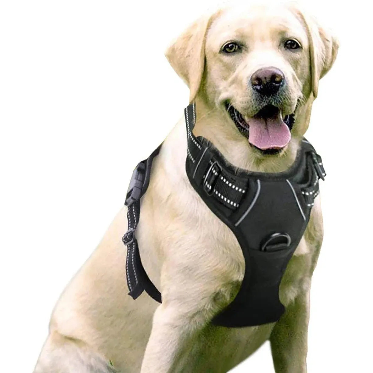 Nylon dog chest and back rope in multiple colours with hand holding loop for walking training