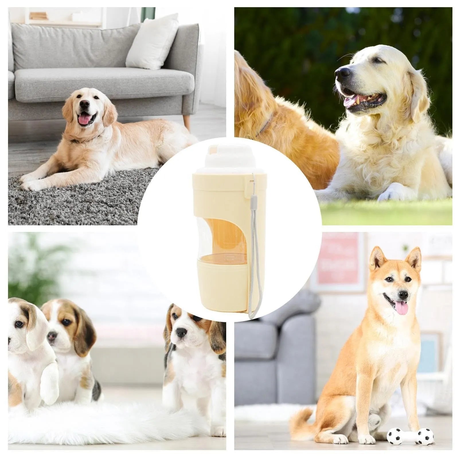 Green 2-in-1 travel dog water bottle with lanyard, showing water dispenser and food container compartments.
