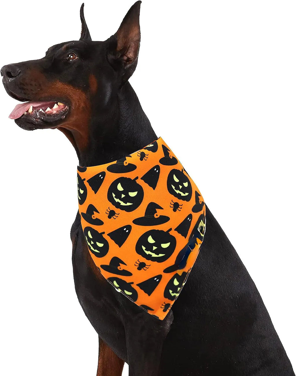 Black and orange reversible Halloween dog bandana with pumpkin and spider web patterns, showing adjustable neck strap.