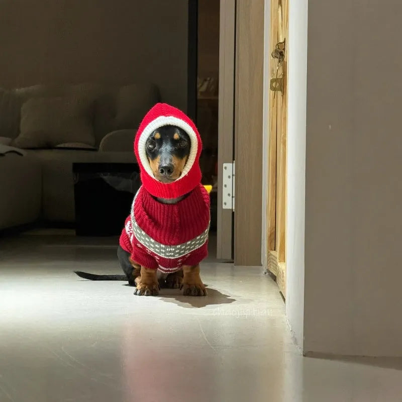 Warm plush dachshund hat in Red Riding Hood style with matching scarf on a dog