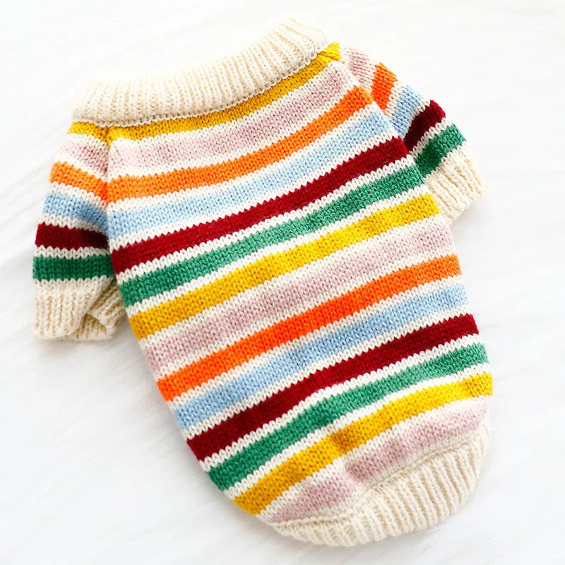 Dog wearing a casual wool knit sweater in a cute spring autumn style