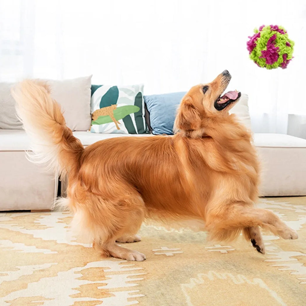 Purple plush knotty seaweed style dog chew toy ball for puppy teething and interactive fetch games.