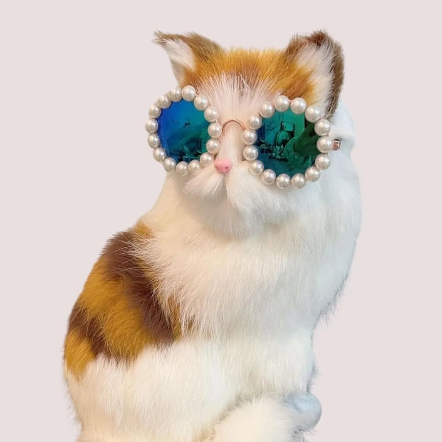 Pearl-rimmed round sunglasses on a cat or dog, shown in blue, black, coffee, orange, and purple colour options.
