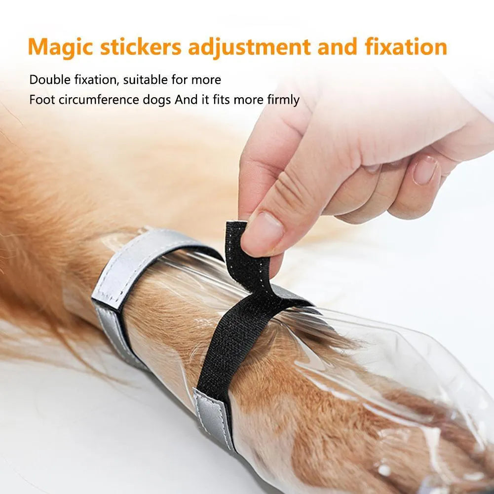 Black waterproof dog shoes with non-slip sole on a large dog outdoors
