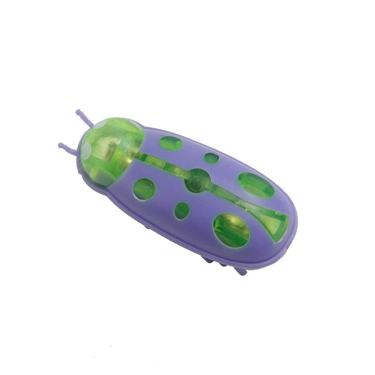 Small worm-shaped electric jumping insect cat toy in plastic, shown in red and black ladybug style.