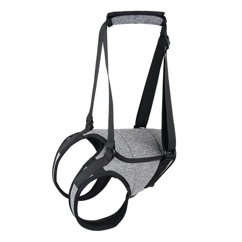 Grey neoprene dog recovery belt showing adjustable waist and thigh straps for hind leg support