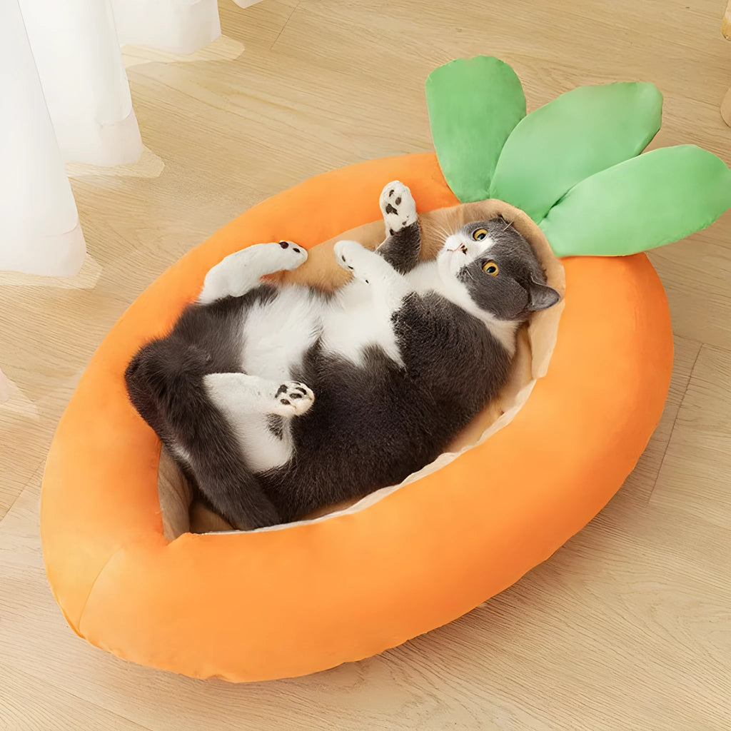 Carrot cartoon pattern double-sided removable washable pet mat for dogs