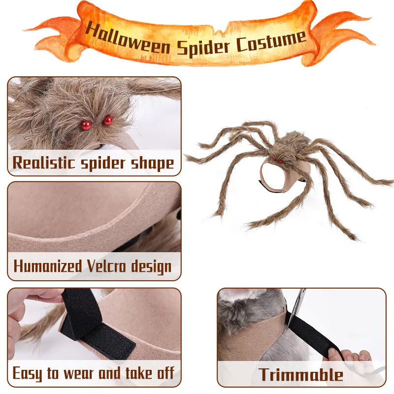 Grey spider costume on a dog for Halloween, showing full-body coverage.