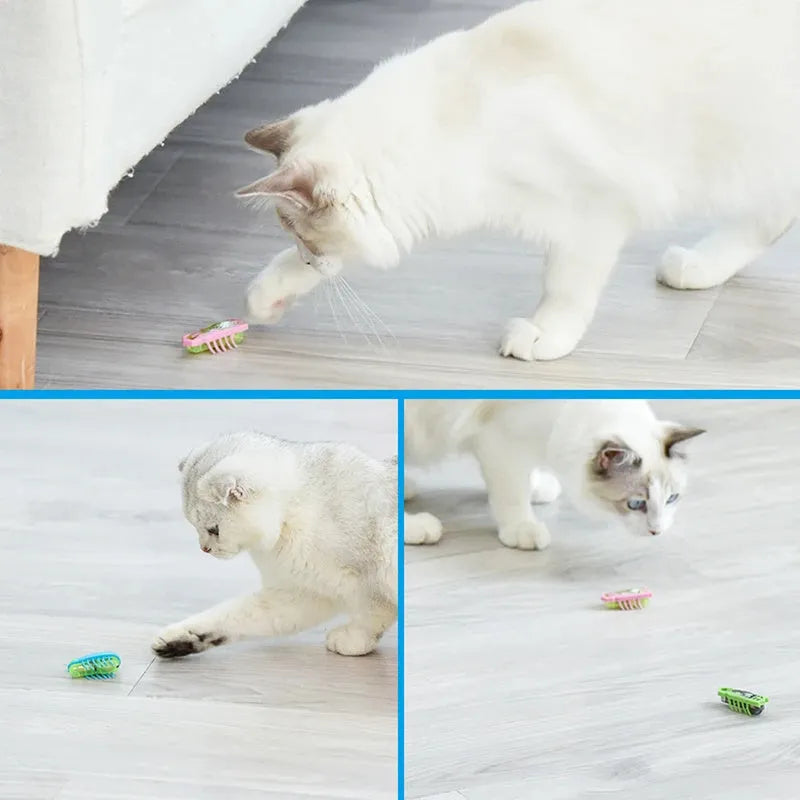 Mini electric bug pet toy with ladybird design on wooden floor