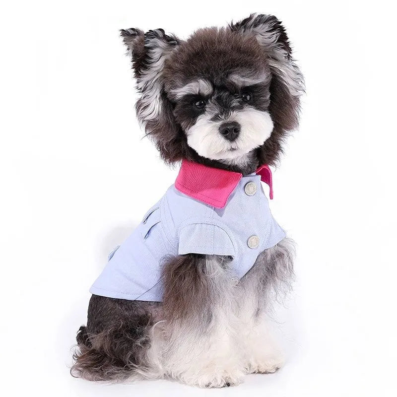 Blue and purple polyester dog vest with integrated traction ring for small breeds