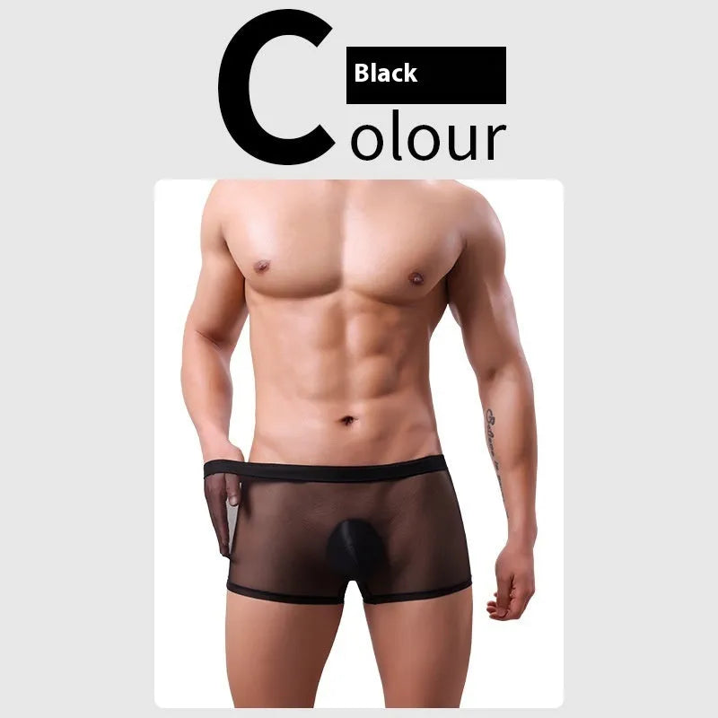Men's low waist mesh boxer briefs in multiple colours with breathable polyester construction