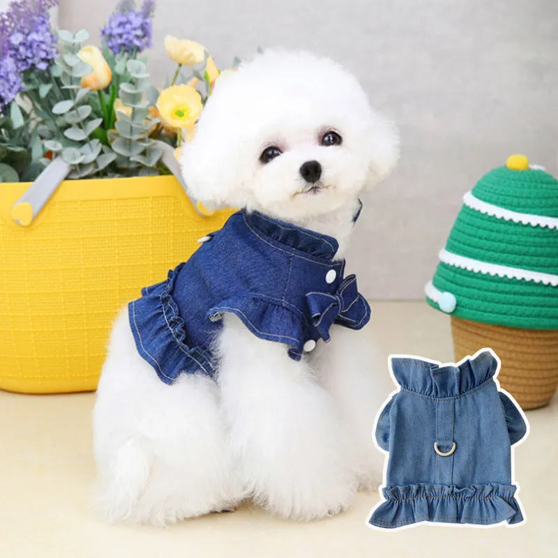 Blue denim dog dress with ruffle trim and metal leash attachment rings on chest and back