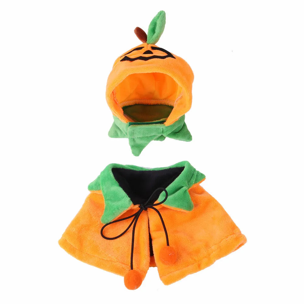 Orange plush pumpkin-themed cloak and hat costume on a dog for Halloween.