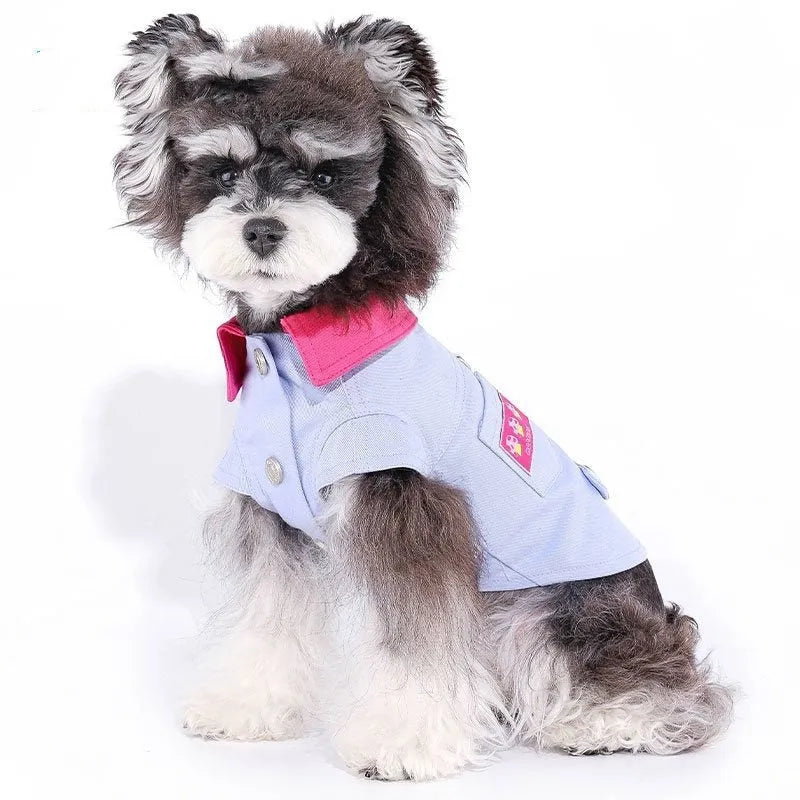 Blue and purple polyester dog vest with integrated traction ring for small breeds