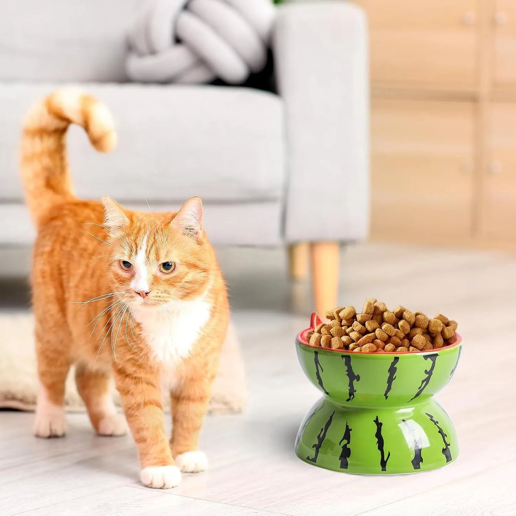 Orange patterned ceramic elevated cat bowl on a white surface