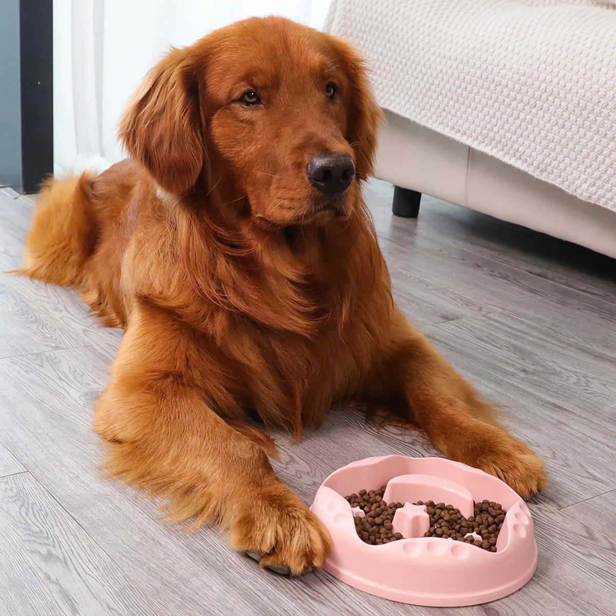 Large blue slow feeder dog bowl with raised moon and star wing patterns and a non-slip rubber base.