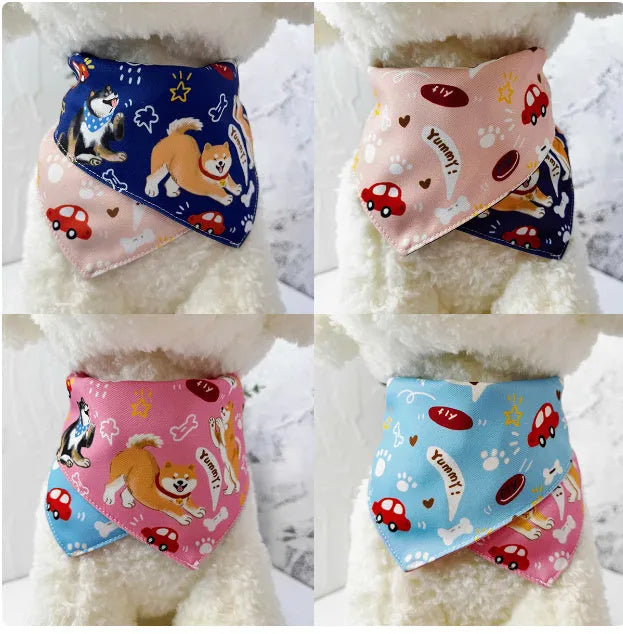 Shiba Inu wearing a pink with blue reversible triangular bandana tied around its neck, with a water towel placed alongside