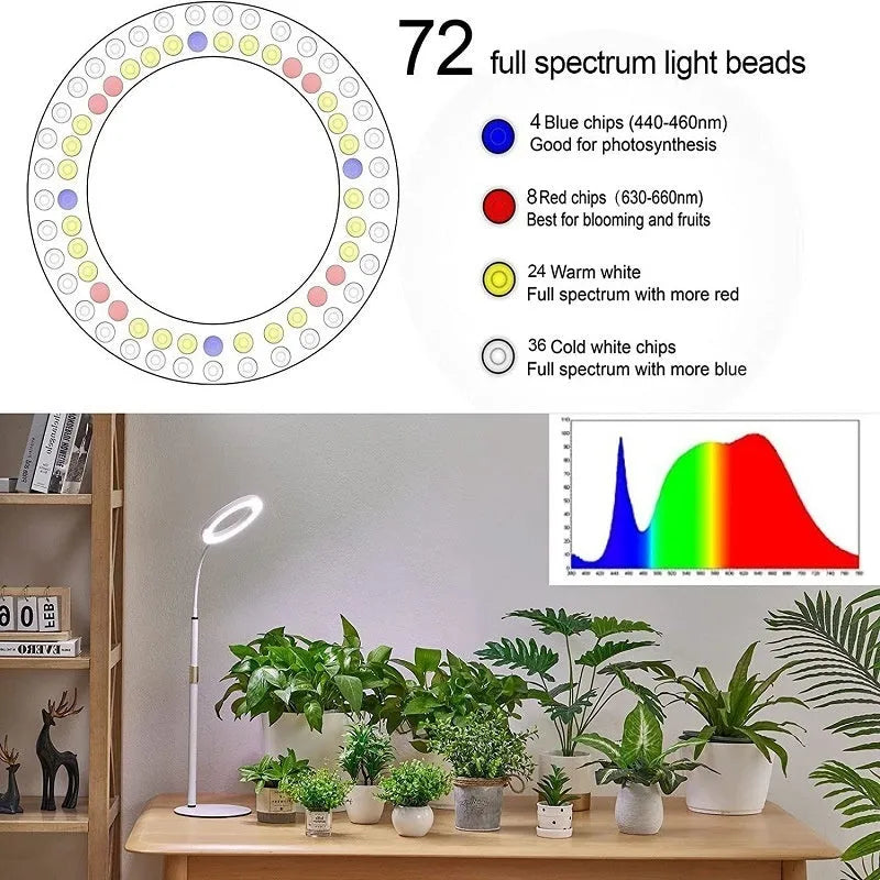 A white 6-inch angel ring LED grow light on a tall, thin adjustable floor stand, positioned next to indoor houseplants.