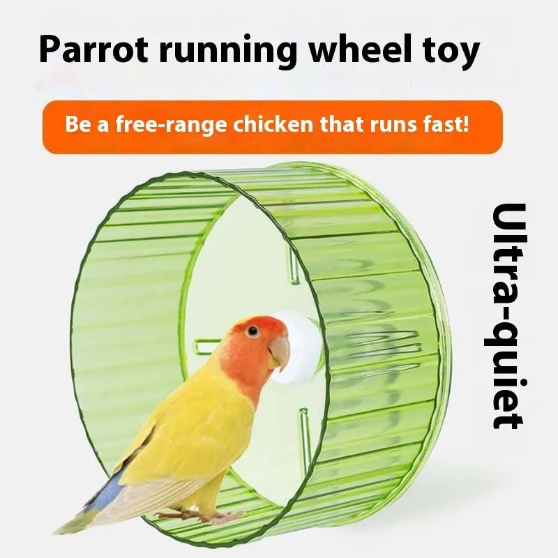 Plastic bird running wheel toy in transparent colour showing 21cm diameter size