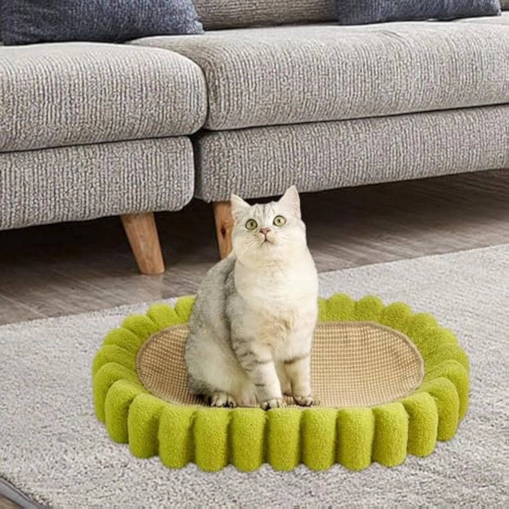 Green oval-shaped sisal cat scratching pad and lounger bed