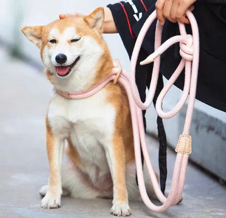 Light green cotton multi-functional dog leash with chest harness function, 12mm rope, adjustable 3.8m length